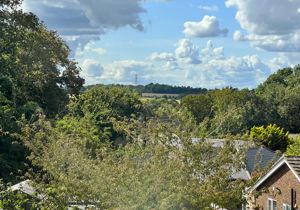 Photo 6- click for photo gallery